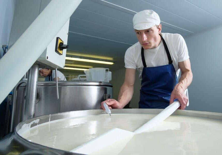 Cheese Making Is Like Making Porridge The Temperature Has To Be Just Right