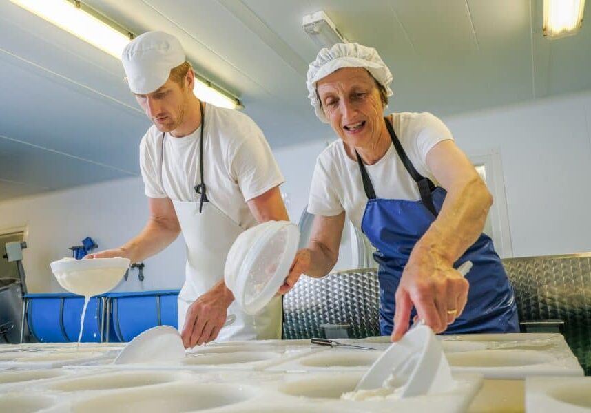 filling the curds into the moulds